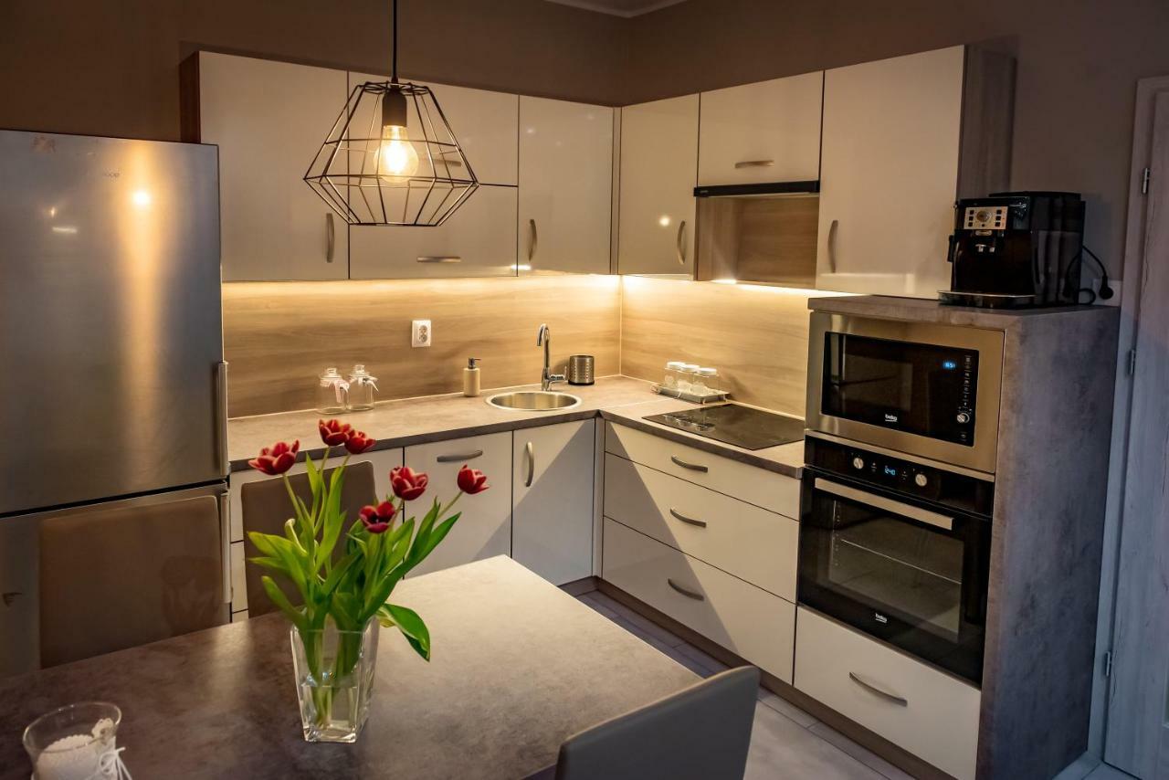 Apartament Nad Stawami Διαμέρισμα Σάνοκ Εξωτερικό φωτογραφία