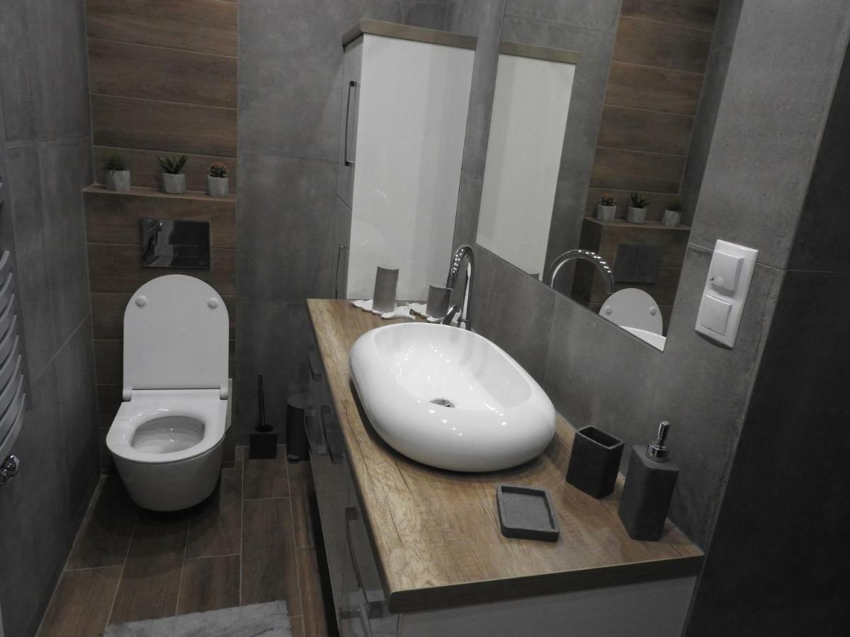 Apartament Nad Stawami Διαμέρισμα Σάνοκ Εξωτερικό φωτογραφία